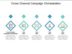 Cross channel campaign orchestration ppt powerpoint presentation model show cpb