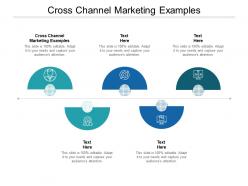 Cross channel marketing examples ppt powerpoint presentation layouts cpb