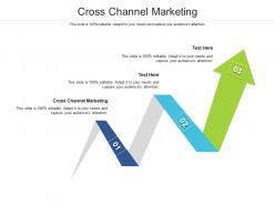 Cross channel marketing ppt powerpoint presentation outline elements cpb