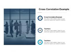 Cross correlation example ppt powerpoint presentation infographic template template cpb