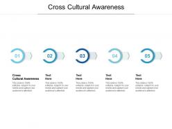 Cross cultural awareness ppt powerpoint presentation infographics format ideas cpb