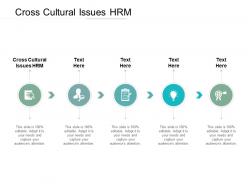 Cross cultural issues hrm ppt powerpoint presentation styles picture cpb