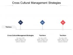 Cross cultural management strategies ppt powerpoint presentation styles graphics design cpb