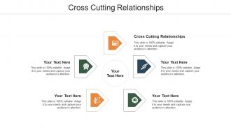 Cross cutting relationships ppt powerpoint presentation infographics example cpb