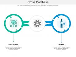 Cross database ppt powerpoint presentation summary images cpb
