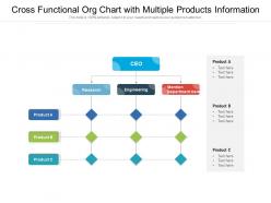 Cross functional org chart with multiple products information