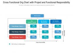 Cross Functional Org Chart With Project And Functional Responsibility
