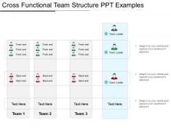 Cross functional team structure ppt examples