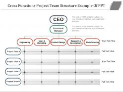 Cross functions project team structure example of ppt