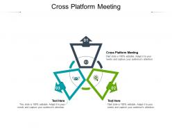 Cross platform meeting ppt powerpoint presentation file example cpb