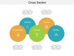 Cross section ppt powerpoint presentation icon templates cpb