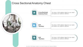 Cross Sectional Anatomy Chest In Powerpoint And Google Slides Cpb