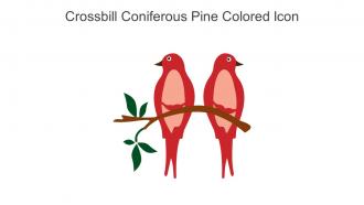 Crossbill Coniferous Pine Colored Icon In Powerpoint Pptx Png And Editable Eps Format