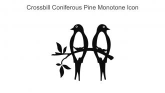 Crossbill Coniferous Pine Monotone Icon In Powerpoint Pptx Png And Editable Eps Format