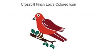 Crossbill Finch Loxia Colored Icon In Powerpoint Pptx Png And Editable Eps Format