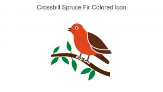 Crossbill Spruce Fir Colored Icon In Powerpoint Pptx Png And Editable Eps Format
