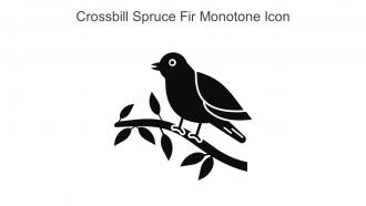Crossbill Spruce Fir Monotone Icon In Powerpoint Pptx Png And Editable Eps Format