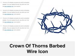 Crown of thorns barbed wire icon