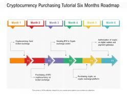Cryptocurrency Purchasing Tutorial Six Months Roadmap