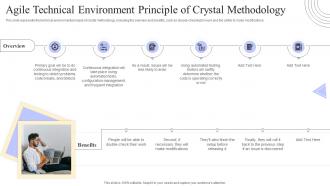 Crystal Methods Agile Technical Environment Principle Of Crystal Methodology