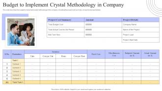 Crystal Methods Budget To Implement Crystal Methodology In Company