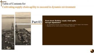 Cultivating Supply Chain Agility to Succeed in Dynamic Environment Strategy CD V Professional Attractive