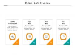 Cultural audit examples ppt powerpoint presentation styles styles cpb