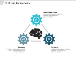 Cultural awareness ppt powerpoint presentation infographics professional cpb