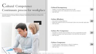 Cultural Competence Continuum Process For Workplace