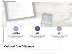 Cultural due diligence ppt powerpoint presentation model graphic tips cpb