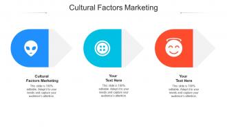 Cultural factors marketing ppt powerpoint presentation model example file cpb