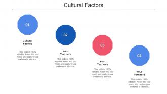 Cultural Factors Ppt Powerpoint Presentation Summary Sample Cpb