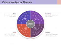 Cultural intelligence elements self efficacy extrinsic values intrinsic systems