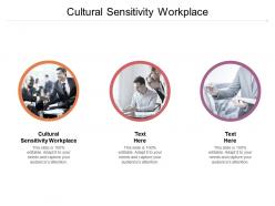 Cultural sensitivity workplace ppt powerpoint presentation model show cpb