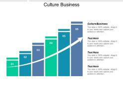 Culture business ppt powerpoint presentation styles graphics download cpb