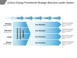 Culture change frameworks strategic executive leader system
