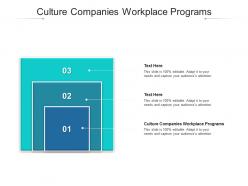 Culture companies workplace programs ppt powerpoint presentation gallery slides cpb