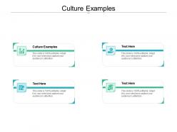 Culture examples ppt powerpoint presentation infographics deck cpb
