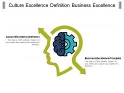 Culture excellence definition business excellence principles networks excellence cpb