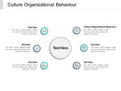 Culture organizational behaviour ppt powerpoint presentation portfolio portrait cpb