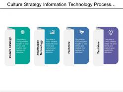 Culture strategy information technology process alignment process refinement