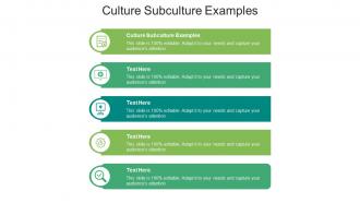 Culture subculture examples ppt powerpoint presentation inspiration themes cpb