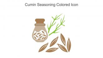 Cumin Seasoning Colored Icon In Powerpoint Pptx Png And Editable Eps Format