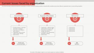 Current Issues Faced By Organization Customized Product Strategy For Niche
