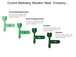 Current marketing situation need company solution market segmentation