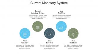 Current monetary system ppt powerpoint presentation file show cpb