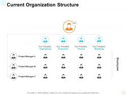 Current Organization Structure Ppt Powerpoint Presentation Slides