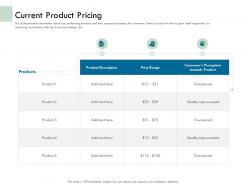Current product pricing ppt powerpoint presentation file gallery