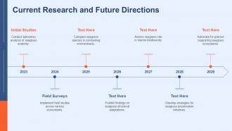 Current Research And Future Directions Seagrass Anatomy PPT Template ACP