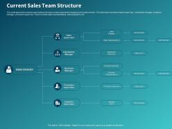 Current sales team structure ppt powerpoint presentation styles inspiration